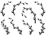 set of olive branches on white background