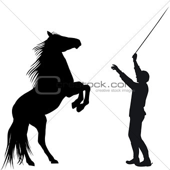 Man training horse to rear up