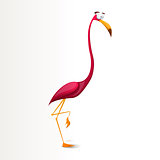 Funny, crazy, cartoon flamingo characters illustration.