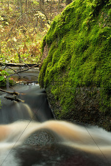 huge boulder overgrown green moss