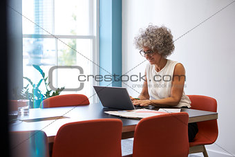 Smiling middle aged woman working alone in office  boardroom