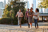 Group Of Friends Walking With Manhattan Skyline In Background