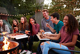 Teenagers at a fire pit eating take-away pizzas, close up