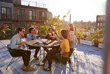 Five friends sitting at a table on a rooftop making a toast