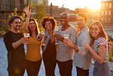 Friends at a rooftop party in raising glasses to camera