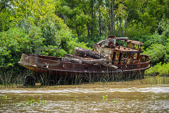 Old boat on the Tigre river Delta. Buenos Aires