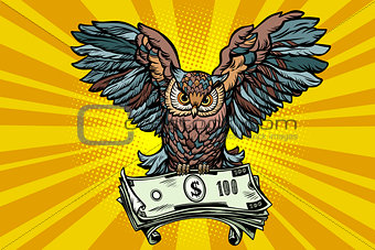 Owl holding in its talons the money