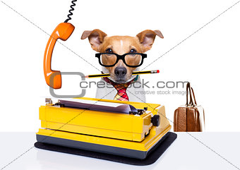 office worker boss dog