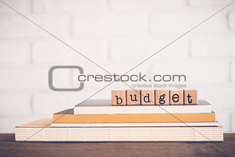 The word Budget and blank space background.