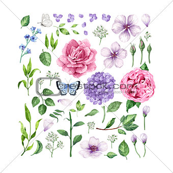 Big set of Flowers roses, hydrangea, apple tree flowers , leaves, petals and butterflies isolated on white background.