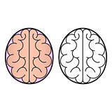 Human brain view from the top of the icon or concept for the logo.