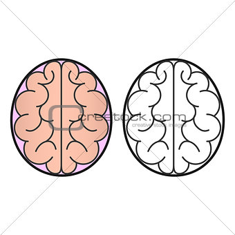 Human brain view from the top of the icon or concept for the logo.