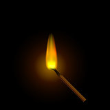 A realistic burning match, against a dark background.