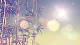 3D image of bamboo with vintage effect