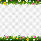 Grass And Flowers Border Transparent Background