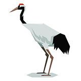 Flat polygonal Red-crowned Crane