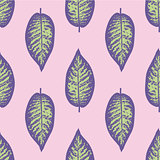 Dieffenbachia ultra violet tropical leaf seamless pattern. Vector illustration