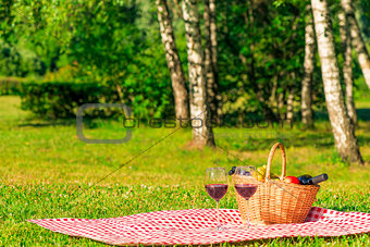 checkered tablecloth on a green lawn in the park with a basket f