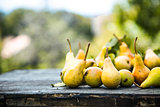 Autumn pears on wood