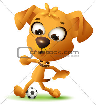Yellow fun dog play with soccer ball