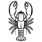 vector monochrome illustration with lobster for design