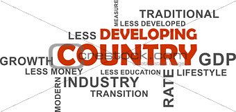 word cloud - developing country