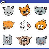 funny cartoon cats heads collection