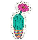 Hand drawn cactus