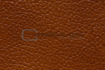 Marvelous brown leather texture.