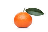 Fresh organic mandarin tangerine fruit with leaves