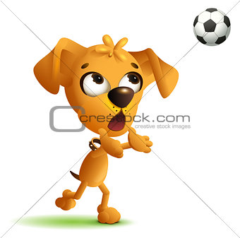 Funny yellow dog goalkeeper catches soccer ball