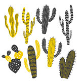 Mustard and Charcoal Cactus and Succulent Plants