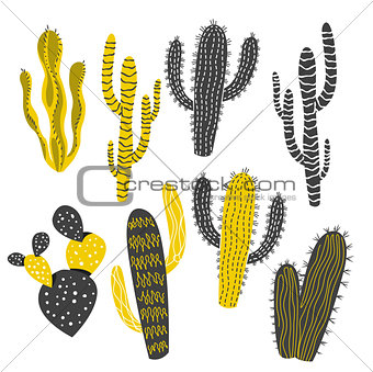 Mustard and Charcoal Cactus and Succulent Plants