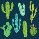 Various Cactus Plant Designs