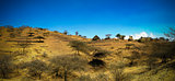 View to Bilen aka Bogo or Agaw tribe village near Keren, Anseba region,Eritrea