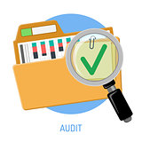 Success Audit Concept