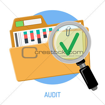 Success Audit Concept