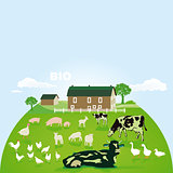Organic farm with pasture