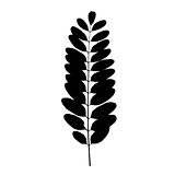 Black tree leaf silhouette. Vector illustration