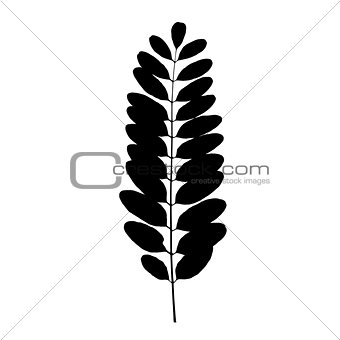 Black tree leaf silhouette. Vector illustration