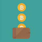 Brown wallet with bitcoin cash. Concept for business, print, web sites