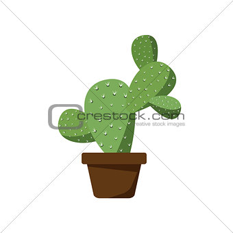 Cactus in brown pot