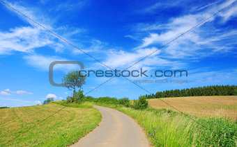 Asphalt road through the green field and clouds on blue sky.