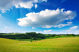 White big clouds and green field.