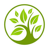 Green eco logo