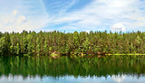 Silent lake near green forest.