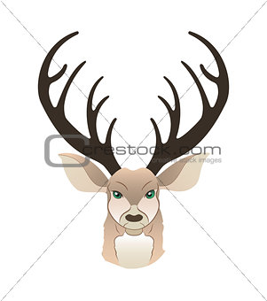 Fashion portrait of hipster deer. Reindeer dressed up in coat, furry art character, trand animals, anthropomorphism. illustration for t-shirt print, card.