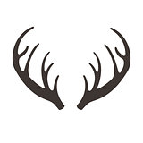 Deer horns illusrtation. Antlers silhouette icon. Hunting trophies. Reindeer