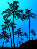Palm trees forest over blue background