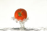Tomato In The Water